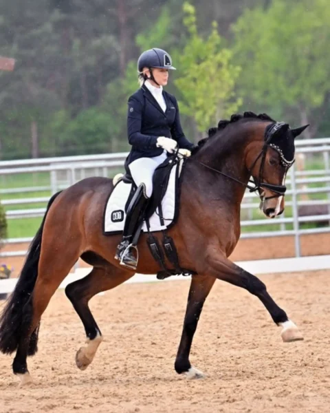 Angelina-De-Vittorio-Pferdevermittlung-Pferdeverkauf-Sportpferde-Freizeitpferde-Dressurpferde-Verkaufspferde-Süddeutschland-Bayern-About-4