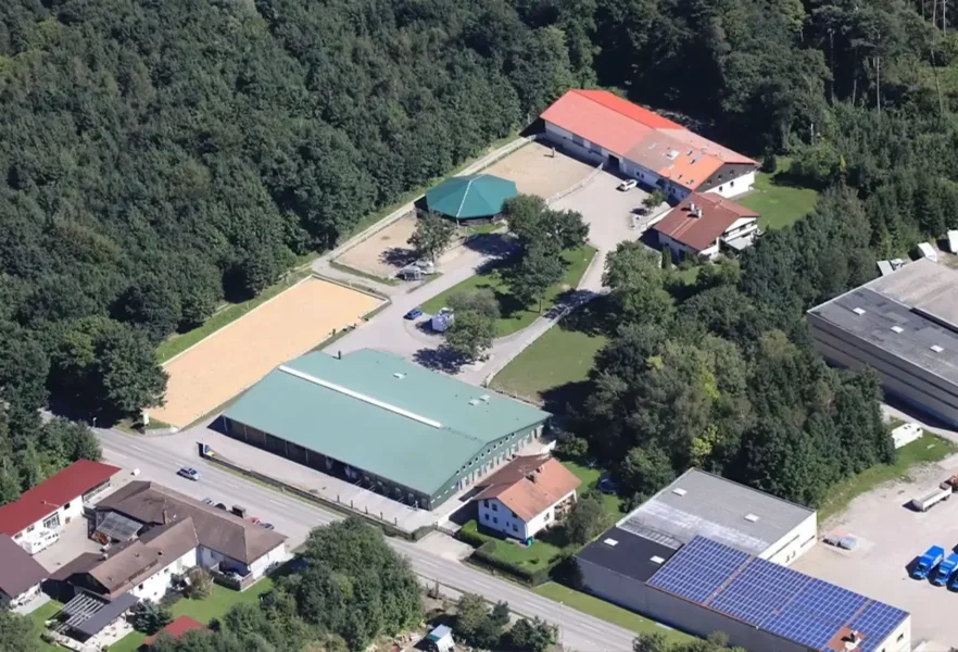 Angelina-De-Vittorio-Pferdevermittlung-Pferdeverkauf-Sportpferde-Freizeitpferde-Dressurpferde-Verkaufspferde-Süddeutschland-Bayern-Reitanlage-4