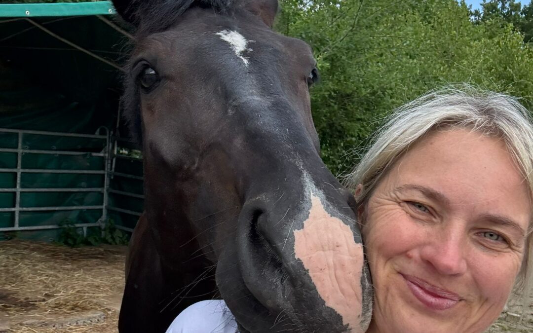 Angelina-De-Vittorio-Vermittlung-Verkauf-Pferde-Sportpferde-Freizeitpferde-Dressurpferde-Verkaufspferde-Pferdeverkauf-Süddeutschland-Bayern-Kunde-Diana