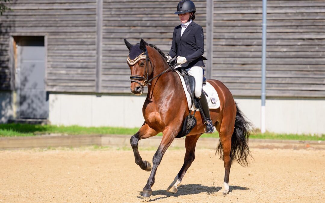 Angelina-De-Vittorio-Vermittlung-Verkauf-Pferde-Sportpferde-Freizeitpferde-Dressurpferde-Verkaufspferde-Pferdeverkauf-Süddeutschland-Bayern-Kunde-Familie-Fischer