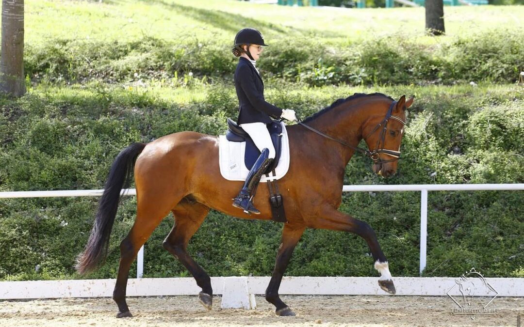 Angelina-De-Vittorio-Vermittlung-Verkauf-Pferde-Sportpferde-Freizeitpferde-Dressurpferde-Verkaufspferde-Pferdeverkauf-Süddeutschland-Bayern-Kunde-Familie-Schalk