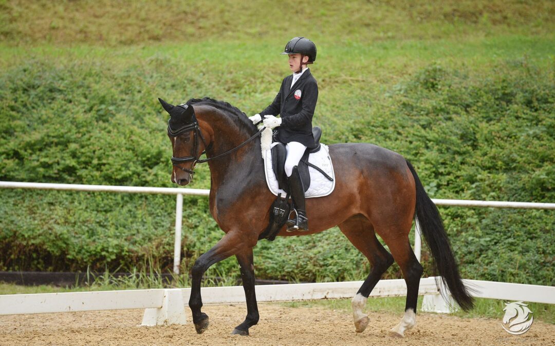 Angelina-De-Vittorio-Vermittlung-Verkauf-Pferde-Sportpferde-Freizeitpferde-Dressurpferde-Verkaufspferde-Pferdeverkauf-Süddeutschland-Bayern-Kunde-FamilieMühlböck