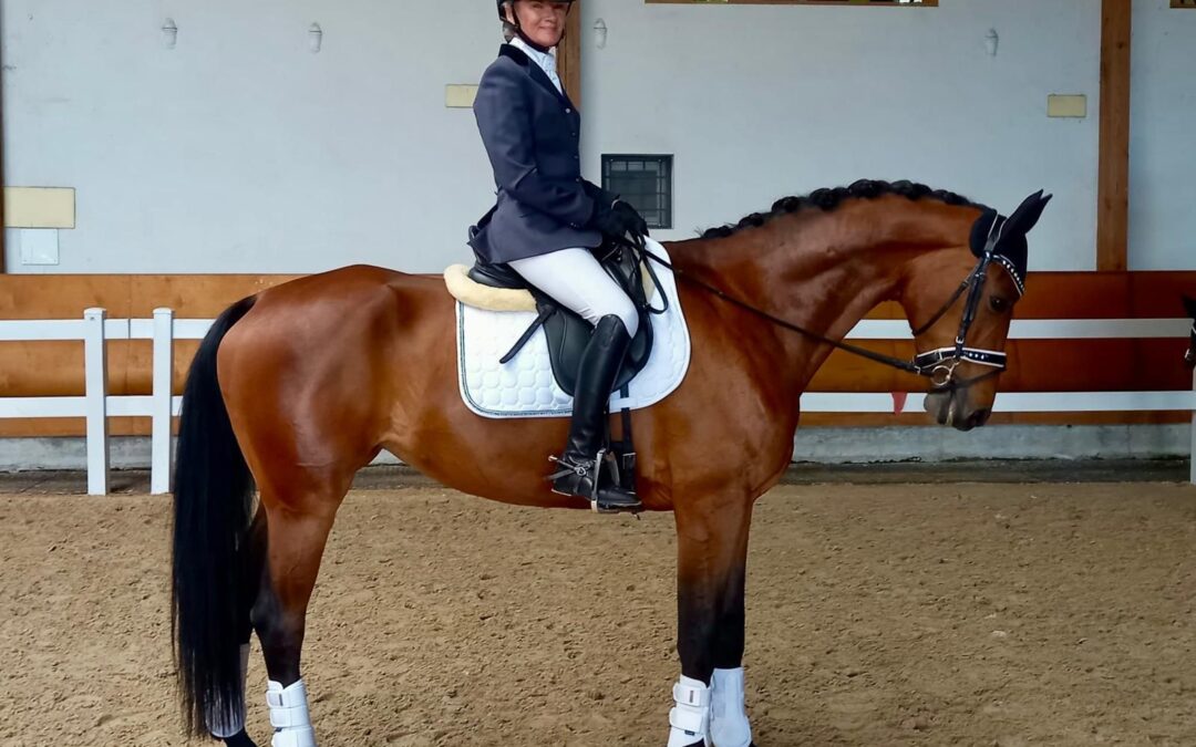 Angelina-De-Vittorio-Vermittlung-Verkauf-Pferde-Sportpferde-Freizeitpferde-Dressurpferde-Verkaufspferde-Pferdeverkauf-Süddeutschland-Bayern-Kunde-Gabriele