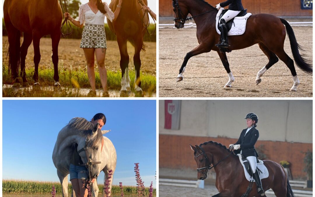 Angelina-De-Vittorio-Vermittlung-Verkauf-Pferde-Sportpferde-Freizeitpferde-Dressurpferde-Verkaufspferde-Pferdeverkauf-Süddeutschland-Bayern-Kunde-Isa