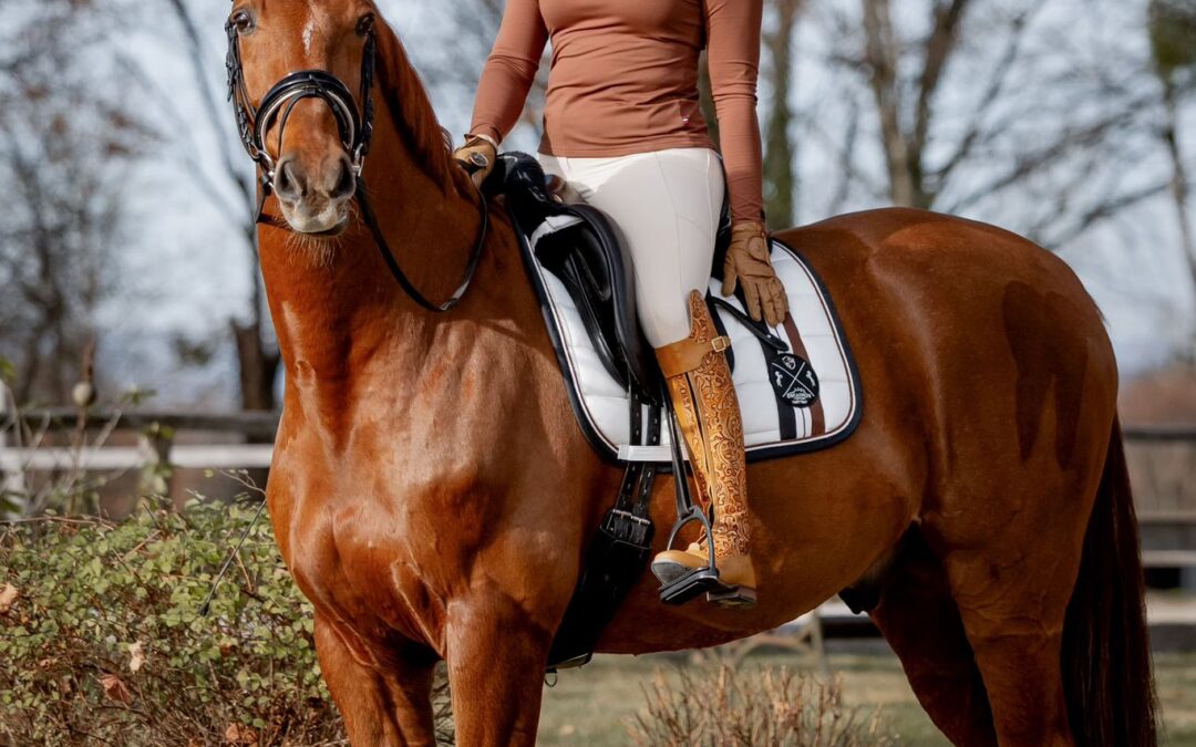 Angelina-De-Vittorio-Vermittlung-Verkauf-Pferde-Sportpferde-Freizeitpferde-Dressurpferde-Verkaufspferde-Pferdeverkauf-Süddeutschland-Bayern-Kunde-Kati-1