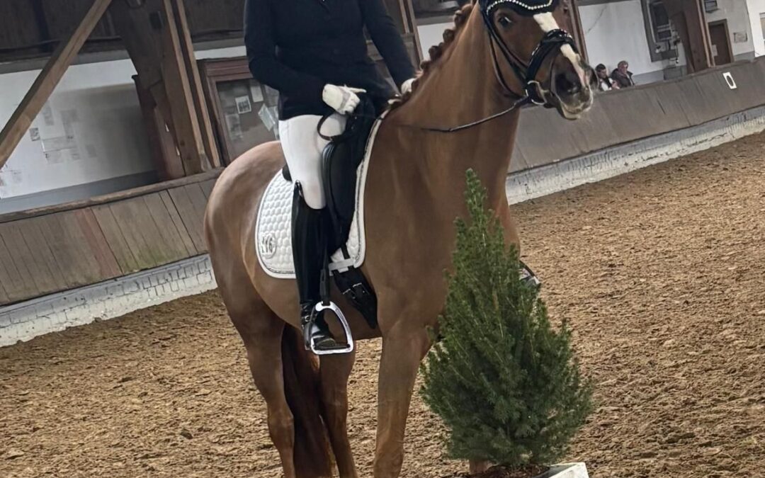 Angelina-De-Vittorio-Vermittlung-Verkauf-Pferde-Sportpferde-Freizeitpferde-Dressurpferde-Verkaufspferde-Pferdeverkauf-Süddeutschland-Bayern-Kunde-Kati