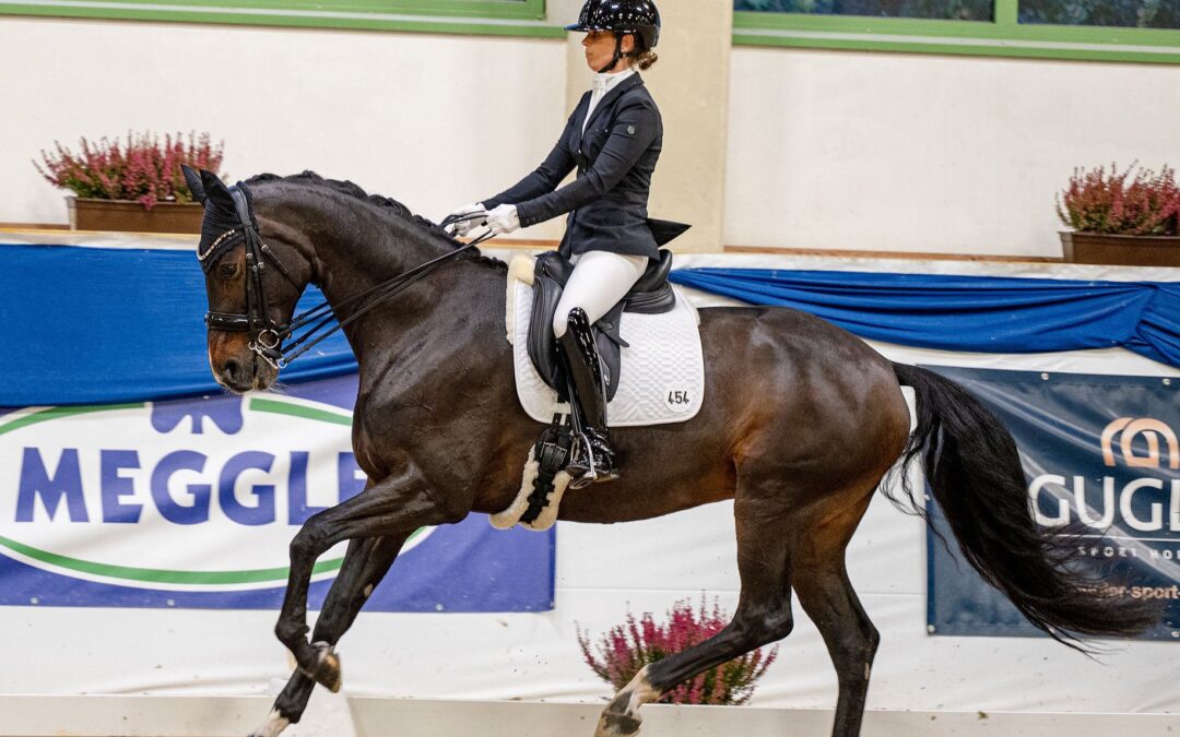 Angelina-De-Vittorio-Vermittlung-Verkauf-Pferde-Sportpferde-Freizeitpferde-Dressurpferde-Verkaufspferde-Pferdeverkauf-Süddeutschland-Bayern-Kunde-Sandra-1