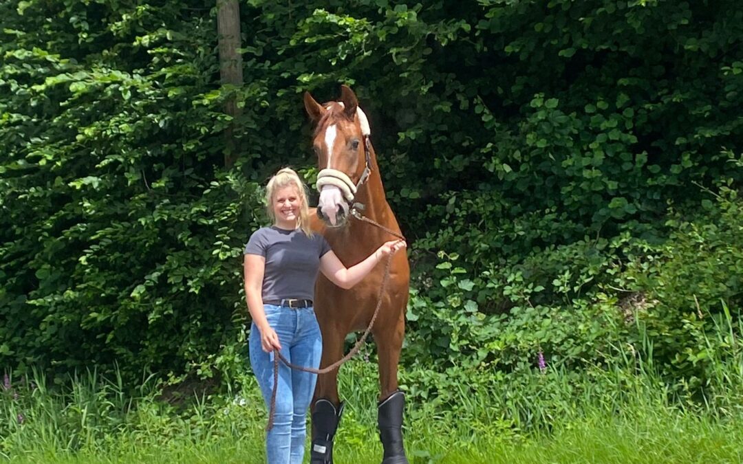 Angelina-De-Vittorio-Vermittlung-Verkauf-Pferde-Sportpferde-Freizeitpferde-Dressurpferde-Verkaufspferde-Pferdeverkauf-Süddeutschland-Bayern-Kunde-Vivi