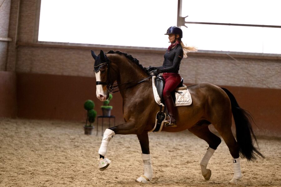 Angelina-De-Vittorio-Pferdevermittlung-Pferdeverkauf-Sportpferde-Freizeitpferde-Dressurpferde-Verkaufspferde-Süddeutschland-Bayern-Team