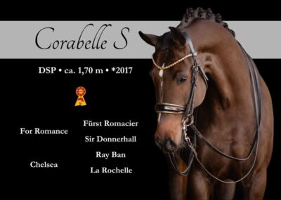 Wunderschöne M platzierte Tochter des For Romance zum Losreiten