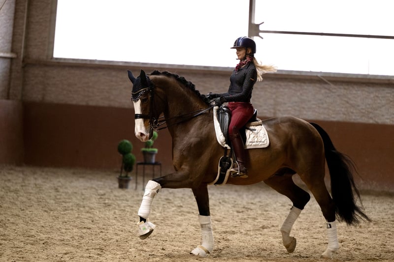 Angelina-DeVittorio-Verkaufspferd-Cuatro-3