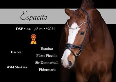 Super schicker Escolar Sohn mit herausragender Qualität