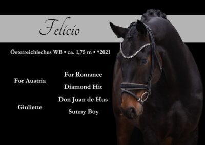 Wunderschöner Sohn des For Austria, Dressurpferde A siegreich