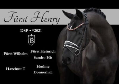 Wunderschöner Sohn d Fürst Wilhelm m hervorragender Qualität