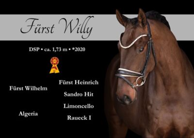 Hochveranlagter 6 jhr Youngster mit bester Perspektive