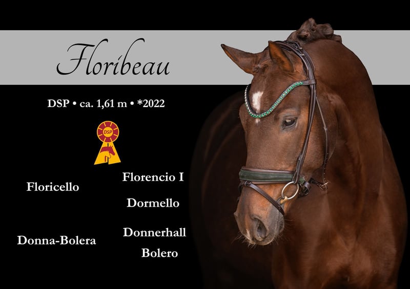 Wunderschöner Schokofuchs mit einem Herz aus Gold