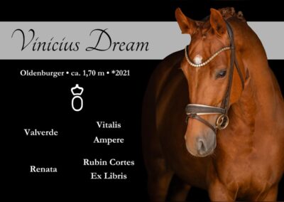 Siegreicher Youngstar der Extraklasse mit super Charakter