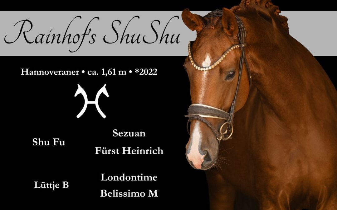 Wunderschöne Tochter des Shu Fu mit überragender Qualität