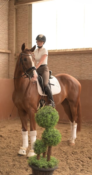 Angelina-DeVittorio-Verkaufspferd-Vanero-6