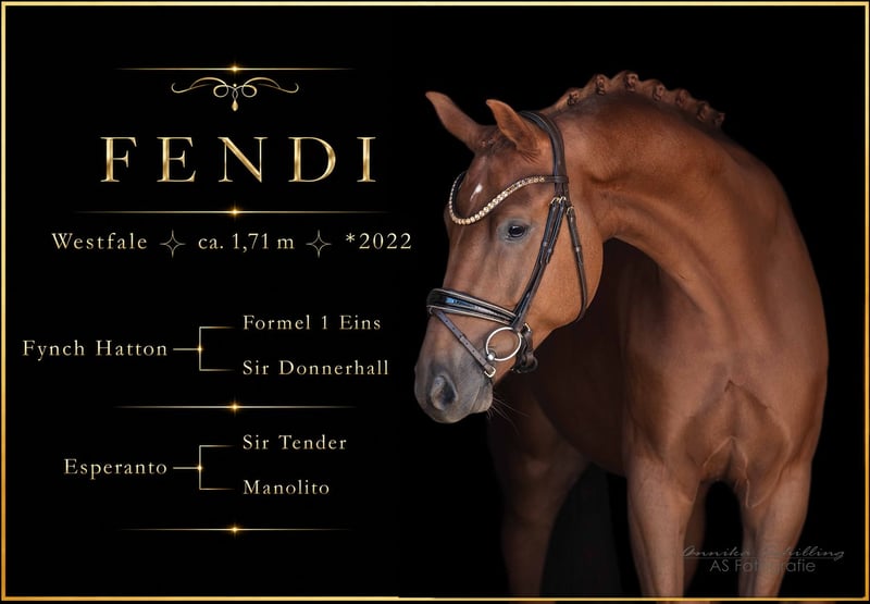 Angelina-DeVittorio-Verkaufspferd-Fendi-1