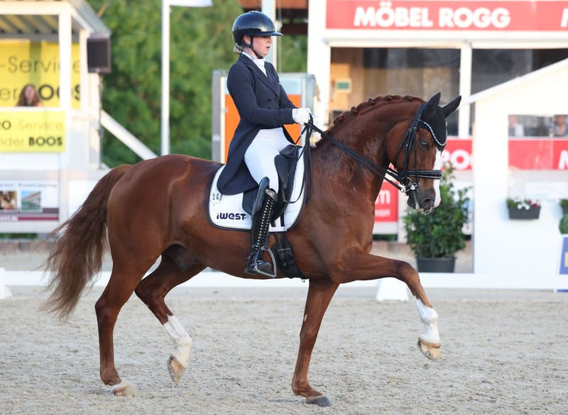 Angelina-DeVittorio-Verkaufspferd-Fritz-6
